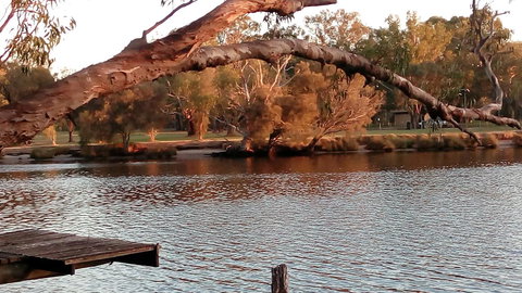 Ascot On Swan Bed & Breakfast - Tourism TAS 9