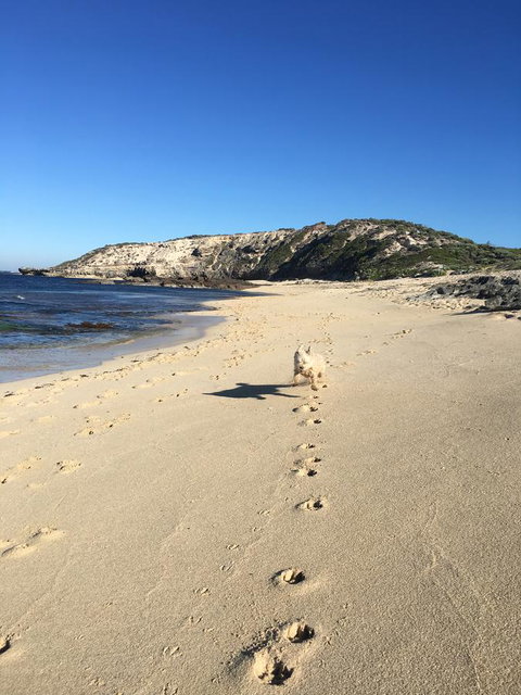 Aquatic Visions - Tourism TAS 36