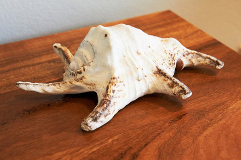 Aquatic Visions - Tourism TAS 40