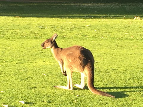 Aquatic Visions - Tourism TAS 41