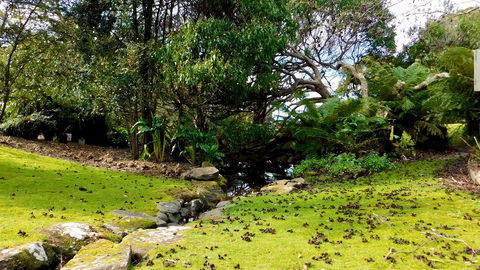 43 Degrees Bruny Island - Tourism TAS 8