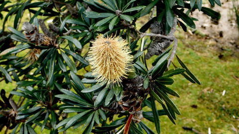 43 Degrees Bruny Island - Tourism TAS 11
