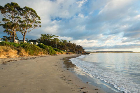 Swansea Beach Chalets - Tourism TAS 44