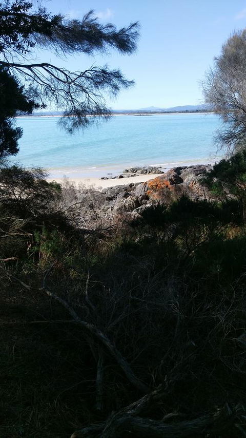 Bircoo Cottage Beach And Golf Getaway - Hobart Tourism 15