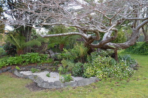 Smugglers Rest Apartments Dover - Tourism TAS 22
