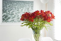 Book Kingston Beach Accommodation Vacations Tourism TAS Tourism TAS