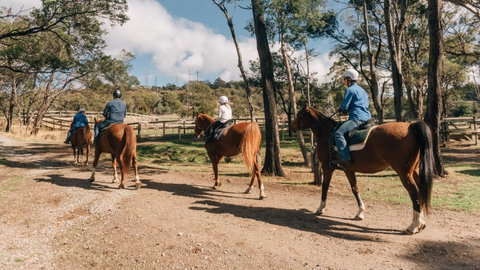 Country Club Tasmania - Tourism TAS 7