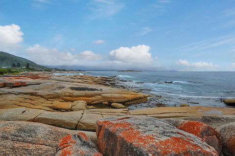 Harvey Farm Lodge - Tourism TAS 2