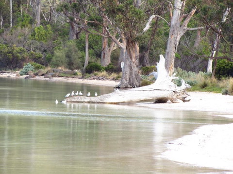 The Boat Shed - Tourism TAS 12
