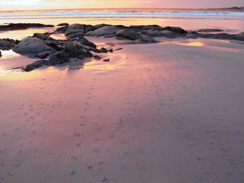 Beachend Bicheno - Hobart Tourism 2