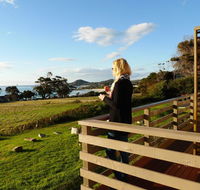 Beachend Bicheno - Tourism TAS