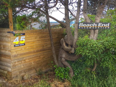 Beachend Bicheno - Hobart Tourism 1