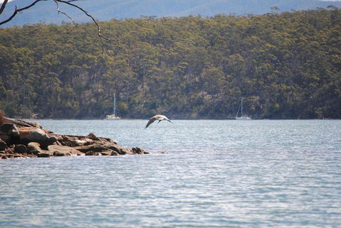 A Slice Of Paradise - Tourism TAS 18