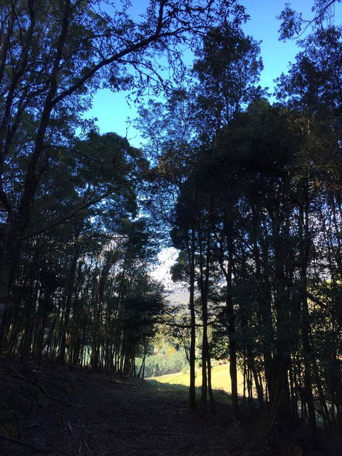 Manna Hill Farm - Tourism TAS 27