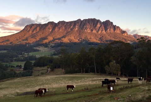 Manna Hill Farm - Tourism TAS 10