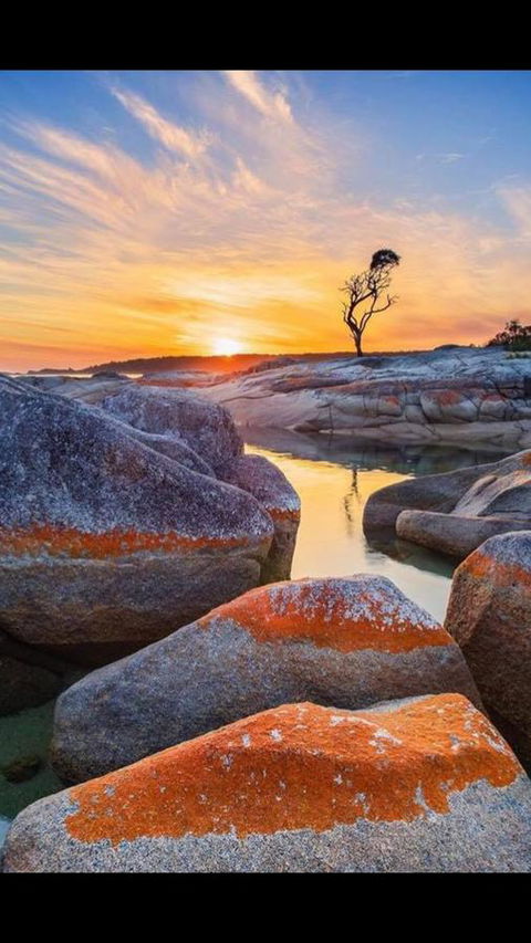 Georges Bay Apartments - Tourism TAS 4