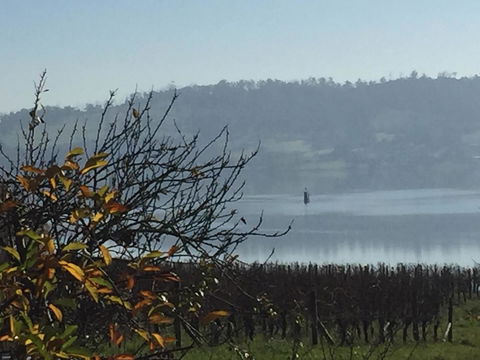 Amble\'a\'While On Tamar - Hobart Tourism 23