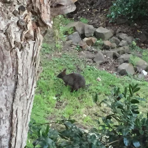 Amble\'a\'While On Tamar - Hobart Tourism 24