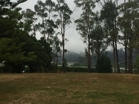 Amble\'a\'While On Tamar - Hobart Tourism 39