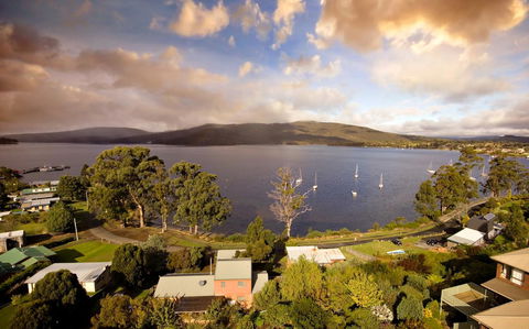 Driftwood - Tourism TAS 7