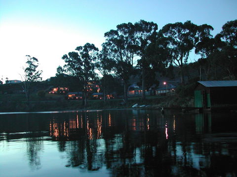 Driftwood - Tourism TAS 9