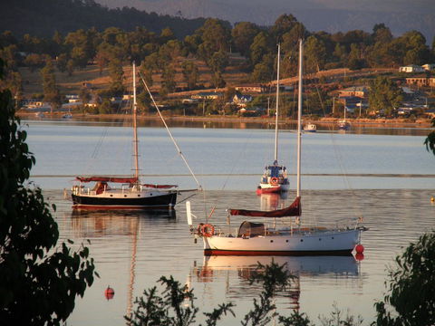 Driftwood - Tourism TAS 12