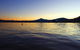Driftwood - thumb 15