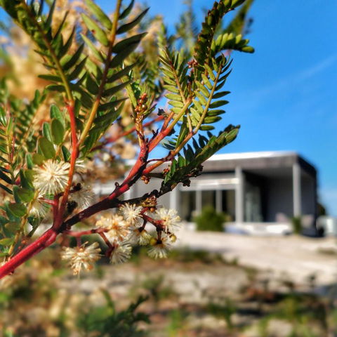 Aplite House - Tourism TAS 36