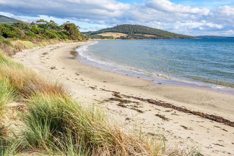 Omaroo Cottage Bruny Island - Tourism TAS 14