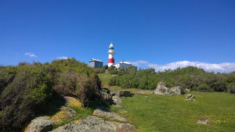 BIG4 Low Head Tourist Park - Hobart Tourism 6