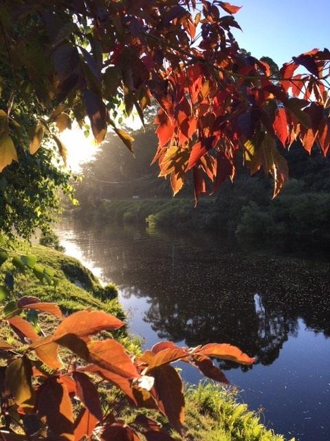 Forth River Cottage - Tourism TAS 4