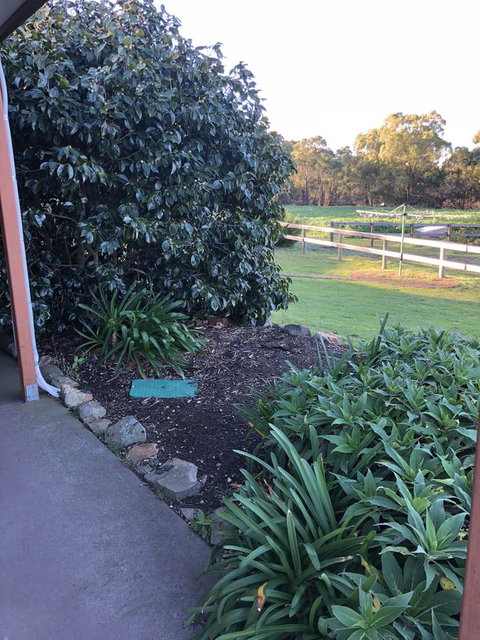 Acton Park Holiday Units - Tourism TAS 20