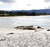 Mermaids of Bicheno - Tourism TAS