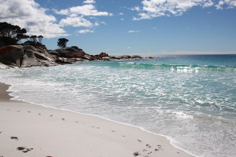 SEA EAGLE COTTAGE Amazing Views Of Bay Of Fires - Tourism TAS 14