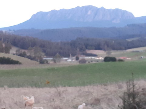 Robin\'s Nest B&B - Tourism TAS 32