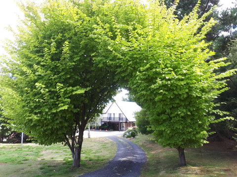 Robin\'s Nest B&B - Tourism TAS 10