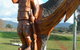 Platypus Park Country Retreat - thumb 28