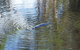 Platypus Park Country Retreat - thumb 32