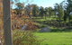 Platypus Park Country Retreat - thumb 10