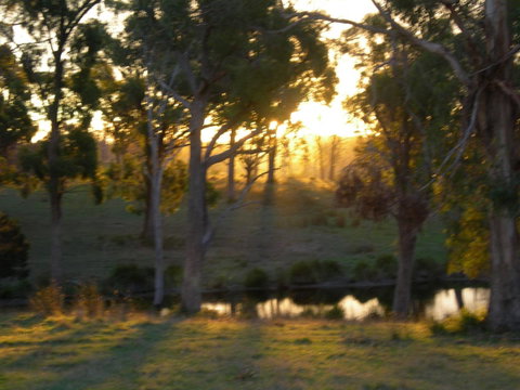 Platypus Park Country Retreat - Tourism TAS 30