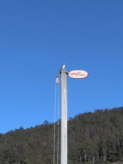 Cherry Top Farmstay - Boutique Eco Village - Hobart Tourism 21