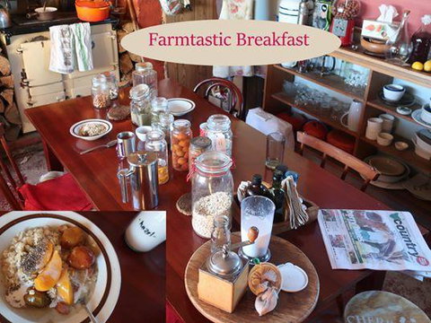 Cherry Top Farmstay - Boutique Eco Village - Hobart Tourism 17