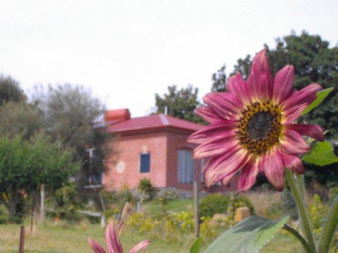Cherry Top Farmstay - Boutique Eco Village - Hobart Tourism 27