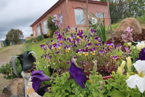 Cherry Top Farmstay - Boutique Eco Village - Hobart Tourism 7