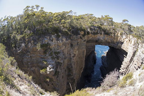 Eaglehawk Pavilions - Tourism TAS 34