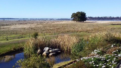 Pelican Point Sanctuary - Tourism TAS 7