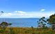 Chill Tasmania - thumb 15