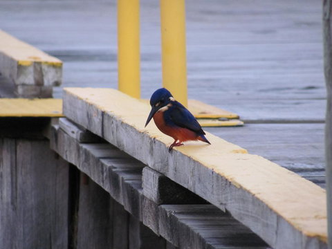 The Crays Accommodation - Tourism TAS 37