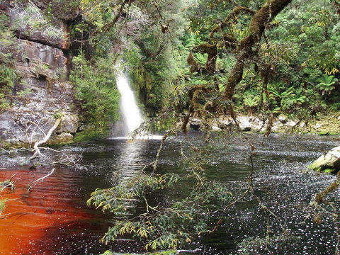 The Crays Accommodation - Tourism TAS 38