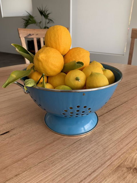 Anchorage Tasmania - Tourism TAS 21